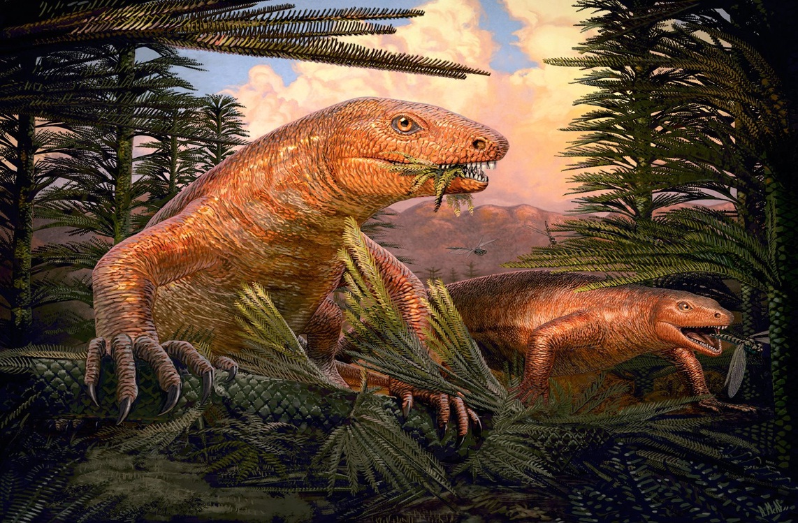 Динозавры это ящеры. Палеозой Пермский период. Ящеры и динозавры мезозойской эры. Рептилии мезозойской эры. Пеликозавры Пермского периода.